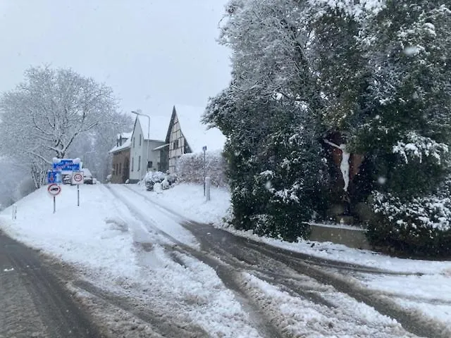 Boerderij, Voorhuis * Schimmert