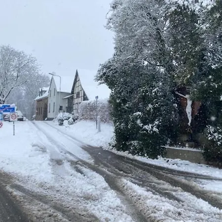 Boerderij, Voorhuis * Schimmert